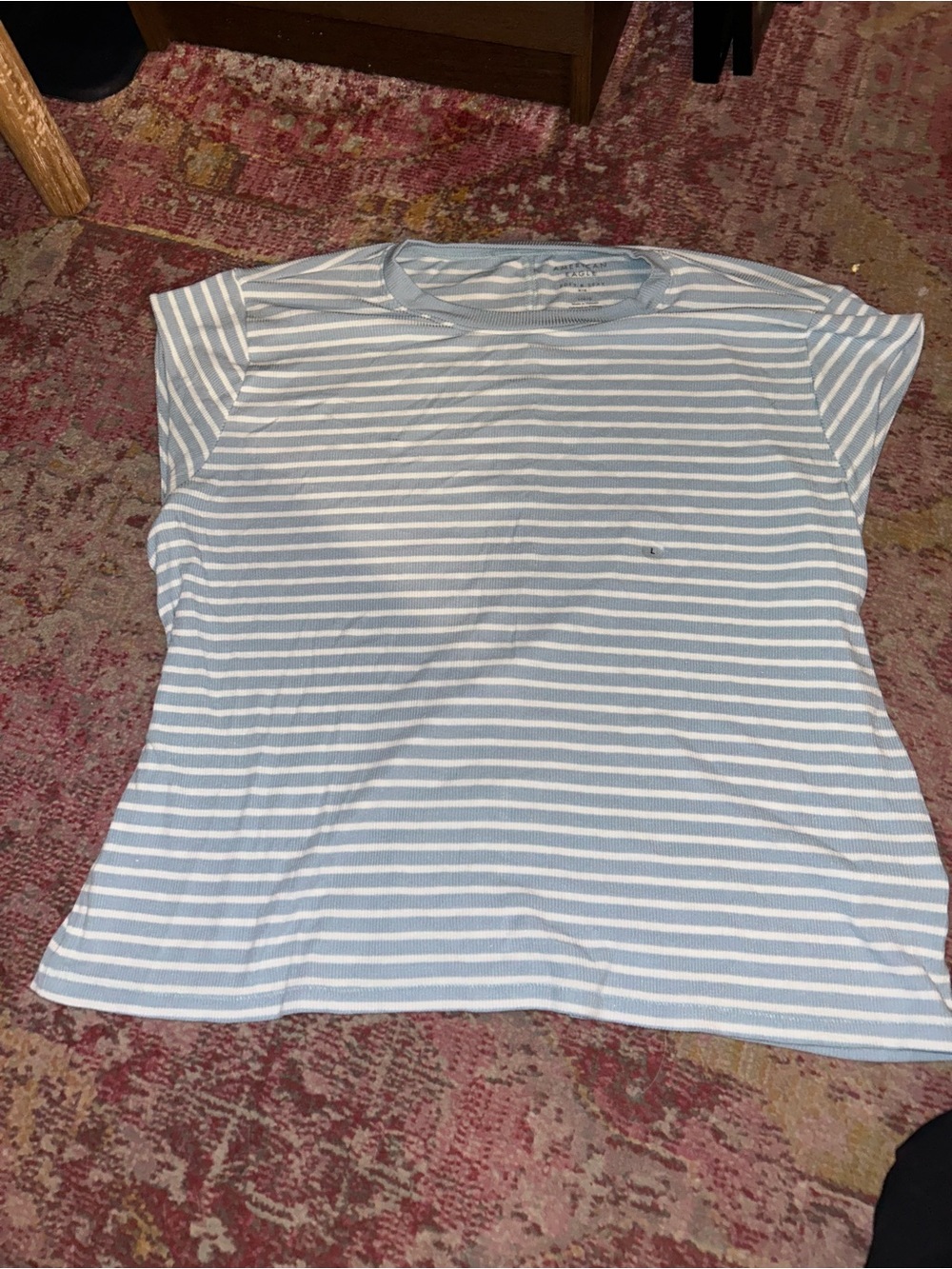 American Eagle soft and sexy tee size large NWOT